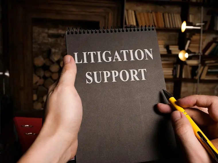 Litigation Support, Pre-Litigation Asset Searches, Legal Support, Juror Intelligence