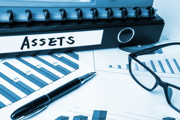 Methodologies for Conducting Asset Searches