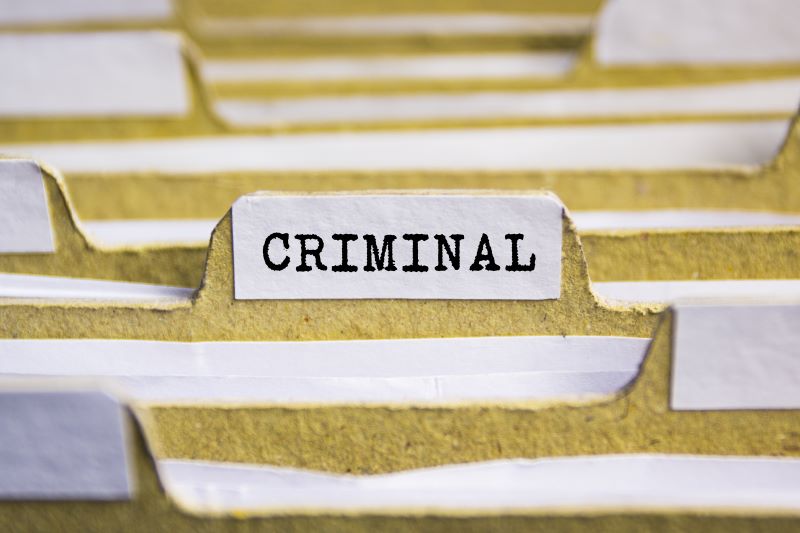 Michigan Criminal Record - criminal file